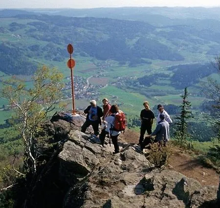 Penzion Fruhstuckspension Zur Blauen Traube