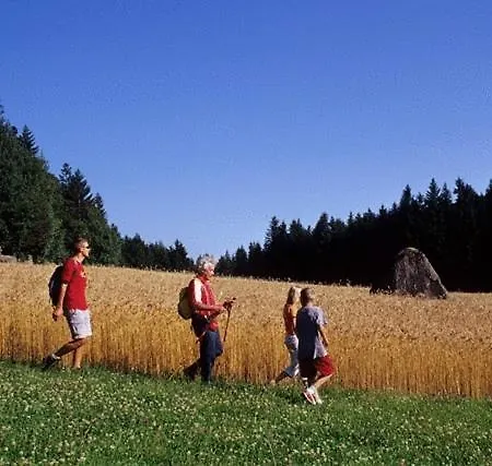 Fruhstuckspension Zur Blauen Traube Yspertal