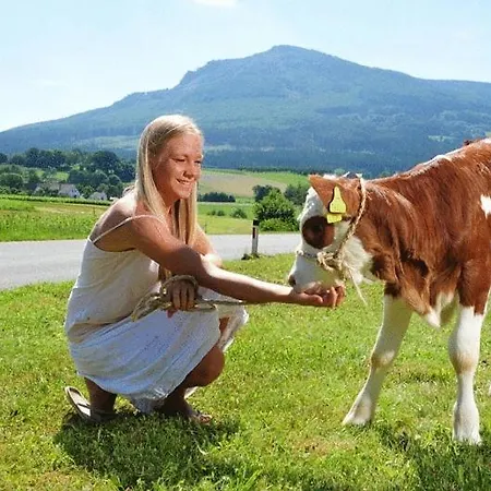 Penzion Fruhstuckspension Zur Blauen Traube 3*