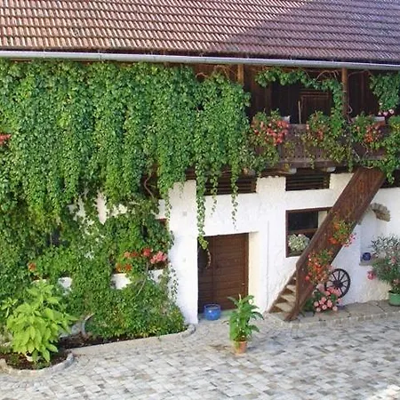 Penzion Fruhstuckspension Zur Blauen Traube 3*