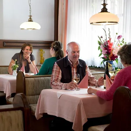 Fruhstuckspension Zur Blauen Traube 3* Yspertal