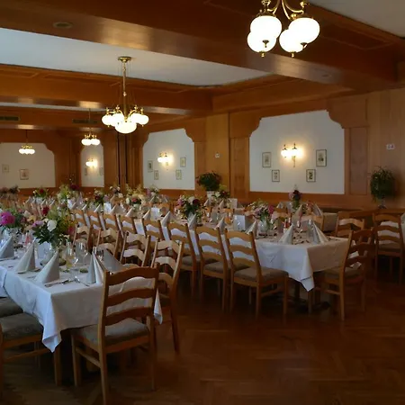 Fruhstuckspension Zur Blauen Traube 3*