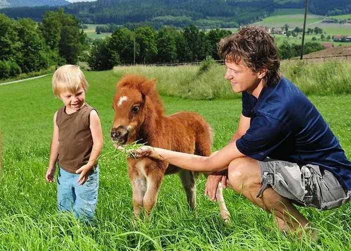 Zur Blauen Traube Gasthof 3*