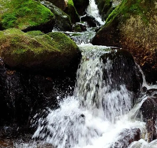 Gasthof Zur Blauen Traube Yspertal